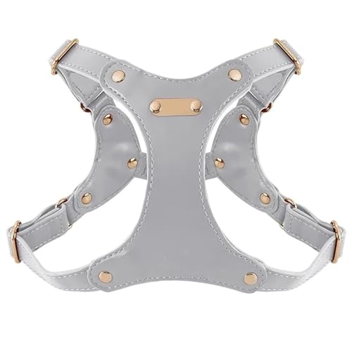Verstellbares Hundegeschirr Und Leine Aus Weichem Leder for Kleine Und Mittelgroße Hunde. Bequemer Brustgurt for Sicheres Spazierengehen.(Grey Chest Strap,S) von Ouxk