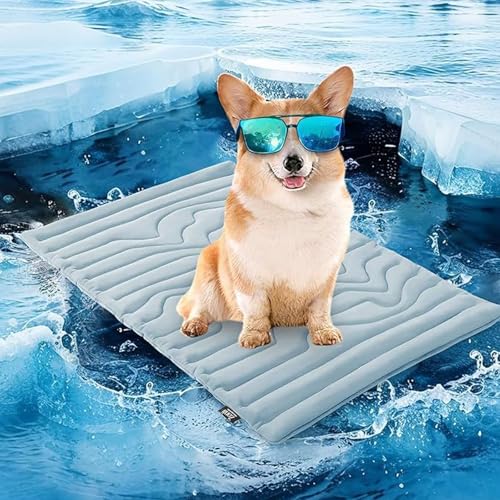 Pfotenchill KüHlmatte Hund, Dr Pfoten KüHlmatte Hund, SelbstküHlende Pfotenchill Matte FüR Den Sommer, Ohne VorküHlen, Gel Oder Strom (Blau, L (122 * 71cm)) von Oveallgo