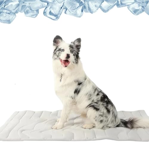 Pfotenchill KüHlmatte Hund, Dr Pfoten KüHlmatte Hund, SelbstküHlende Pfotenchill Matte FüR Den Sommer, Ohne VorküHlen, Gel Oder Strom (Grau, M (91 * 58cm)) von Oveallgo