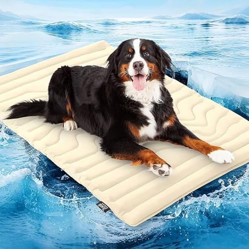 Pfotenchill KüHlmatte Hund, Dr Pfoten KüHlmatte Hund, SelbstküHlende Pfotenchill Matte FüR Den Sommer, Ohne VorküHlen, Gel Oder Strom (Off-White, M (91 * 58cm)) von Oveallgo