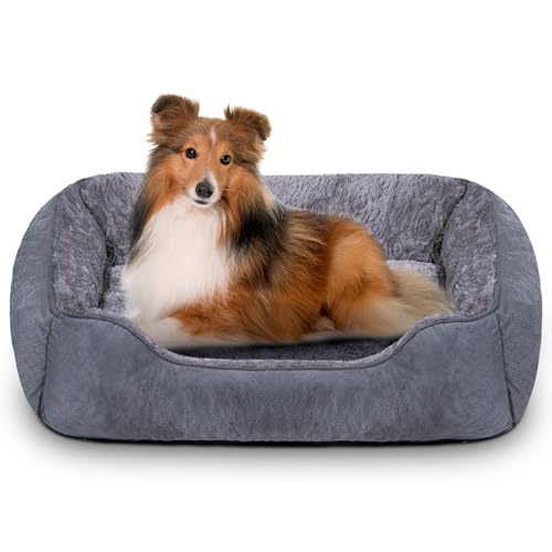 Oveppy Hundebett, groß, superweich, rechteckig, waschbar, wärmendes Haustierbett mit rutschfester Unterseite, Anti-Angst, maschinenwaschbar, Grau, 76,2 x 61 x 22,9 cm Oveppy Hundebett, groß, superweich, rechteckig, waschbar, wärmendes Haustierbett mit rutschfester Unterseite, Anti-Angst, maschinenwaschbar, Grau, 76,2 x 61 x 22,9 cm von Oveppy