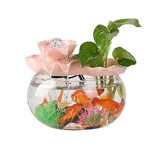 Fischschalen Kreatives zirkulierendes Wasser Aquarium Glasfenster Desktop Kleiner Haushalt Gold Aquarium Landschaftsbau Dekoration Fische & Aquarien (Größe: 7,48 Zoll) von OwKay