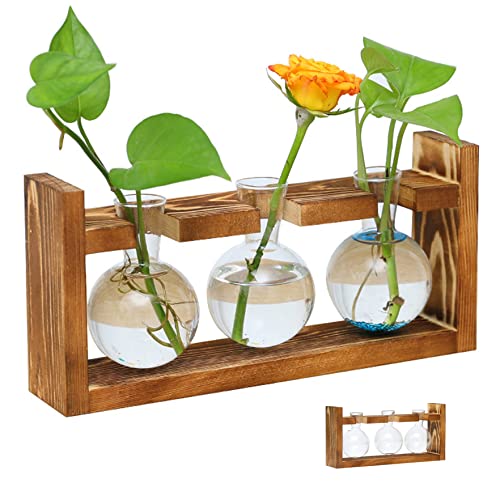 Pflanzenpropagationsstationen Pflanzen Terrarium Glasspflanzer mit Holzstand für Hydroponische Pflanzen Büro Hausdekorationspropagationsstation Pflanzenpropagationsstationen Pflanzen Terrarium Glasspflanzer mit Holzstand für Hydroponische Pflanzen Büro Hausdekorationspropagationsstation von Owddddtnxc