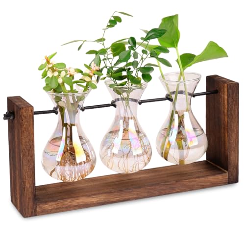 Propagationsstationen Irisierende Anlagen -Propagationsstation, 3PCS -Gradienten -Glühbirnenvase mit Holzständer Tischplatte Terrarium für Hydroponics Home Office Garden Decorplant Station Propagationsstationen Irisierende Anlagen -Propagationsstation, 3PCS -Gradienten -Glühbirnenvase mit Holzständer Tischplatte Terrarium für Hydroponics Home Office Garden Decorplant Station von Owddddtnxc