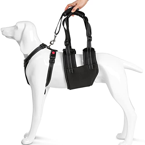 Ownpets Hundegeschirr, Verstellbarer Hebegeschirr für Hunde, Unterstützung der Ganzkörpermobilität für ältere, ältere Hunde mit Verletzungen an Vorder- und Hinterbeinen, Knien, Gelenken und Hüften, XL Ownpets Hundegeschirr, Verstellbarer Hebegeschirr für Hunde, Unterstützung der Ganzkörpermobilität für ältere, ältere Hunde mit Verletzungen an Vorder- und Hinterbeinen, Knien, Gelenken und Hüften, XL von Ownpets