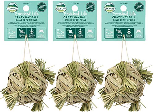 (3 Pack) Oxbow Enriched Life Crazy Hay Ball for Small Animals von Oxbow Animal Health