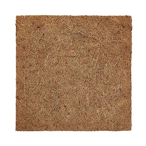 Hühnchen Nistpads 13 "x13" Waschkissen Für Hühner Legen Eier Natürliche Pflanzenfaserbettentwicklung Nist Bettwäsche Legen Eier Coops Hühner Tauben Vögel Waschableer Wiederverwendbares Volumen Hühnchen Nistpads 13 "x13" Waschkissen Für Hühner Legen Eier Natürliche Pflanzenfaserbettentwicklung Nist Bettwäsche Legen Eier Coops Hühner Tauben Vögel Waschableer Wiederverwendbares Volumen von Oxxggkao