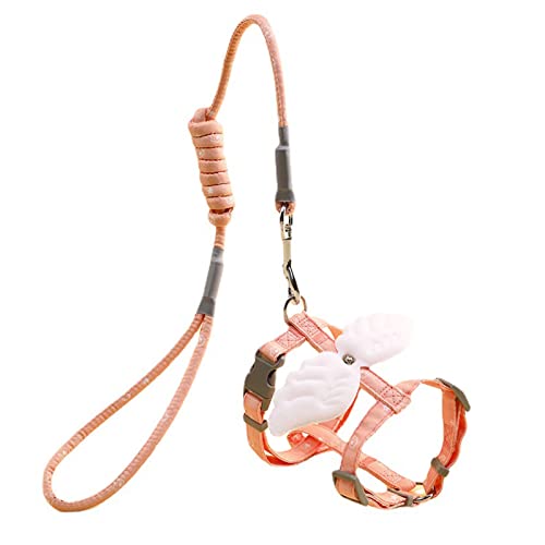 Hundegeschirr mit Leine, atmungsaktiv, verstellbar, für kleine Hunde, Training, Spazierengehen, Katzen, kleines Hundegeschirr und Leine, Set – Pull Escape Boy Girl Blue Choke, Chihuahua von Oxxggkao
