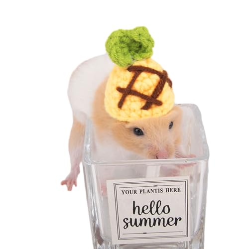 Oxxggkao Kleine Haustierversorgungen Erdbeerform Kopfbedeckung Für Halloween Foto Requisiten Handgewebte Kappe Hamster Oxxggkao Kleine Haustierversorgungen Erdbeerform Kopfbedeckung Für Halloween Foto Requisiten Handgewebte Kappe Hamster von Oxxggkao