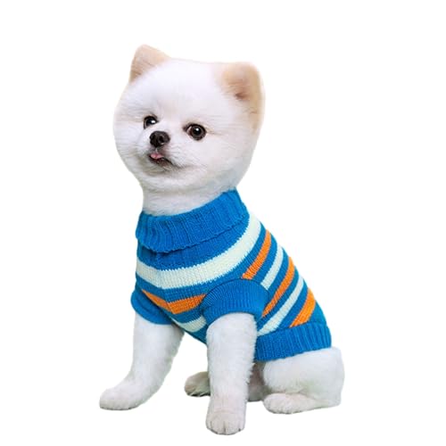 Oxxggkao Schnauzer Strickpullover für kleine Hunde, Haustierkleidung, Kätzchen, Fotoshootings, 2-beiniges Zubehör für Hunde von Oxxggkao
