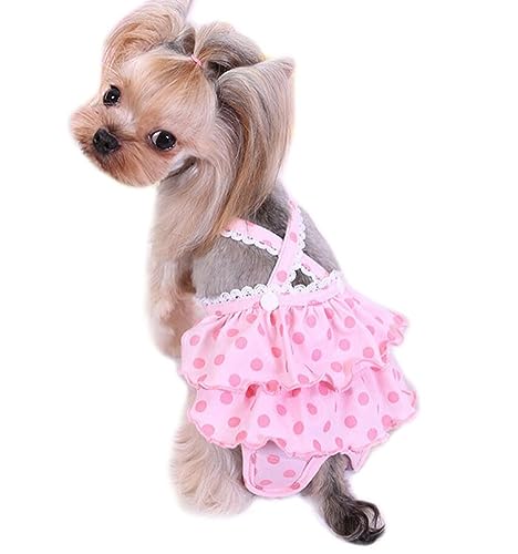 Oyccen Kleiner Hund Hosenträger Sanitär Hosen Physiologische Windel Weibliche Hunde Menstruations Unterwäsche Hygiene Höschen Oyccen Kleiner Hund Hosenträger Sanitär Hosen Physiologische Windel Weibliche Hunde Menstruations Unterwäsche Hygiene Höschen von Oyccen