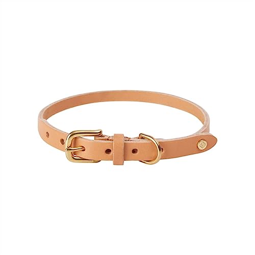 OYOY Zoo Z60027 Hundehalsband, Rotkehlchen, Größe M, Natur von Oyoy Living