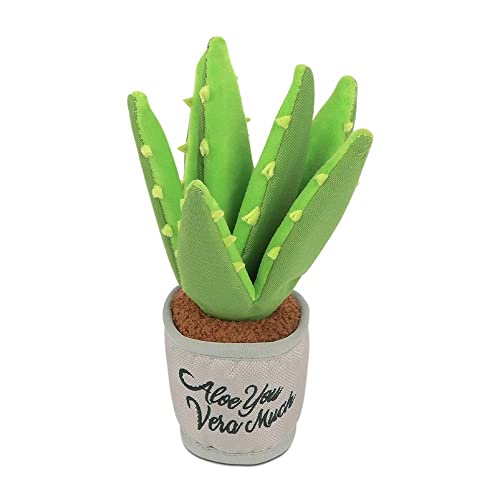 Blooming Buddies Collection - Aloe-ve You Plant (New!) von P.L.A.Y. – Pet Lifestyle & You