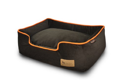 P.L.A.Y. – Pet Lifestyle & You PY3010BLF Lounge Bett Urban Plush, L, orange P.L.A.Y. – Pet Lifestyle & You PY3010BLF Lounge Bett Urban Plush, L, orange von P.L.A.Y. – Pet Lifestyle & You