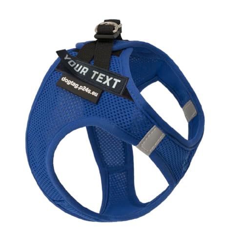 P24S SMART Step-In Brustgeschirr mit Zwei kostenlosen personalisierte Namensaufkleber Klettsticker Wunschlogo für kleine Hunderassen mit Online Hundefinder Service (Blau, XS (Brust: 40-48 cm)) von P24S