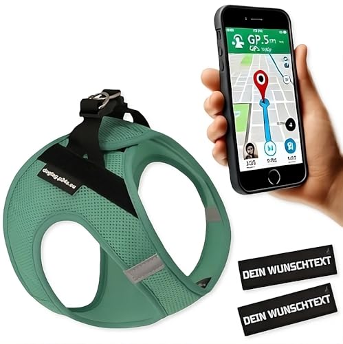 P24S SMART Step-In Hundegeschirr mit 2 kostenlosen benutzerdefinierte Namensaufkleber Klettsticker Wunschtexte für kleine Hunderassen mit Online Dogtag Service (Türkisgrün, L (Brust: 58-66 cm)) von P24S
