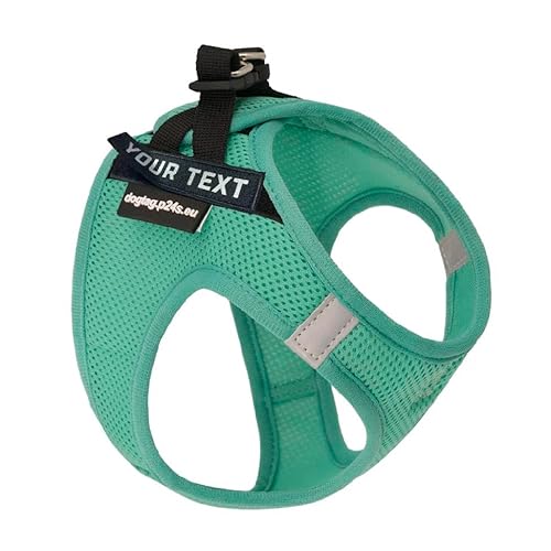 P24S SMART Step-In Hundegeschirr mit 2 kostenlosen benutzerdefinierte Namensaufkleber Klettsticker Wunschtexte für kleine Hunderassen mit Online Dogtag Service (Türkisgrün, XL (Brust: 64-72 cm)) von P24S