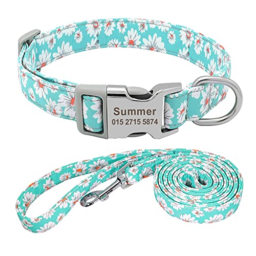 Haustier-Fliege, personalisierbares Haustierhalsband, Nylon, personalisierbar, für Hunde, Welpen, Welpen, Halsband für kleine, mittelgroße und große Hunde (Farbe: Blau 5, Größe: L) (Grün 3 klein) von P9IDEDFH