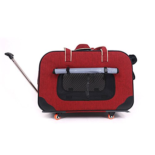 Haustiertasche für Haustiere, Trolley, Hund, Ausgehen, Reisen, Katzentasche plus große VIP-Haustier-Reisebox, verschiedene Tragegurte (rot) von P9IDEDFH