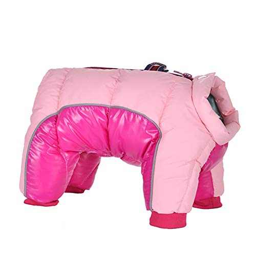 Hundekleidung, Hundekleidung, Winter, warme Kleidung für kleine Hunde, wasserdicht, Welpen, Haustierjacke, reflektierender Hundemantel, Chihuahua, Mops, Jumpsuits, Kleidung, Mantel (26) von P9IDEDFH