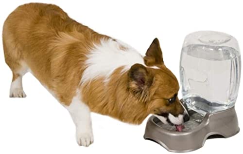 P9IDEDFH Massagekissen Automatisch Haustier Katze Hund Feeder Wasserspender Kätzchen Trinknapf Hunde 1019 von P9IDEDFH