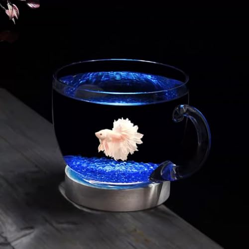 PA-DABAOO 0,58 Gallonen Schalenförmiges Aquarium, Transparente Hydrokultur-Pflanzvase Aus Glas, Kleines Aquarium Mit Dekorativem Zubehör, Vielseitig Verwendbare Runde Fischschale,B von PA-DABAOO