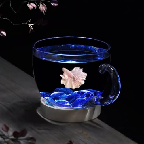 PA-DABAOO 0,58 Gallonen Schalenförmiges Aquarium, Transparente Hydrokultur-Pflanzvase Aus Glas, Kleines Aquarium Mit Dekorativem Zubehör, Vielseitig Verwendbare Runde Fischschale,C von PA-DABAOO