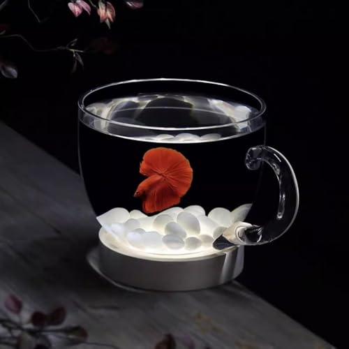 PA-DABAOO 0,58 Gallonen Schalenförmiges Aquarium, Transparente Hydrokultur-Pflanzvase Aus Glas, Kleines Aquarium Mit Dekorativem Zubehör, Vielseitig Verwendbare Runde Fischschale,D von PA-DABAOO