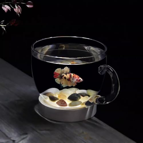 PA-DABAOO 0,58 Gallonen Schalenförmiges Aquarium, Transparente Hydrokultur-Pflanzvase Aus Glas, Kleines Aquarium Mit Dekorativem Zubehör, Vielseitig Verwendbare Runde Fischschale,E von PA-DABAOO