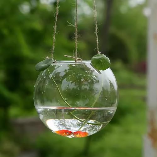PA-DABAOO 2 Stück Mini-Hängefischglas, Wandmontiertes Glasfischbecken, Hängeschale Für Wasserpflanzen, Transparentes Betta-Becken, Unregelmäßig Geformtes Fischglas, Wohnzimmerdekoration,B PA-DABAOO 2 Stück Mini-Hängefischglas, Wandmontiertes Glasfischbecken, Hängeschale Für Wasserpflanzen, Transparentes Betta-Becken, Unregelmäßig Geformtes Fischglas, Wohnzimmerdekoration,B von PA-DABAOO