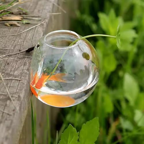 PA-DABAOO 2 Stück Mini-Hängefischglas, Wandmontiertes Glasfischbecken, Hängeschale Für Wasserpflanzen, Transparentes Betta-Becken, Unregelmäßig Geformtes Fischglas, Wohnzimmerdekoration,C PA-DABAOO 2 Stück Mini-Hängefischglas, Wandmontiertes Glasfischbecken, Hängeschale Für Wasserpflanzen, Transparentes Betta-Becken, Unregelmäßig Geformtes Fischglas, Wohnzimmerdekoration,C von PA-DABAOO