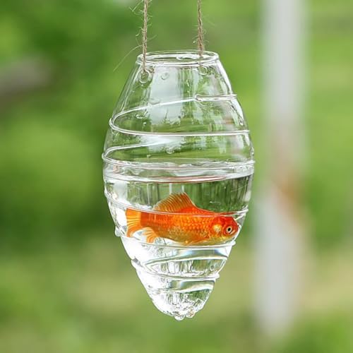 PA-DABAOO 2 Stück Mini-Hängefischglas, Wandmontiertes Glasfischbecken, Hängeschale Für Wasserpflanzen, Transparentes Betta-Becken, Unregelmäßig Geformtes Fischglas, Wohnzimmerdekoration,D PA-DABAOO 2 Stück Mini-Hängefischglas, Wandmontiertes Glasfischbecken, Hängeschale Für Wasserpflanzen, Transparentes Betta-Becken, Unregelmäßig Geformtes Fischglas, Wohnzimmerdekoration,D von PA-DABAOO