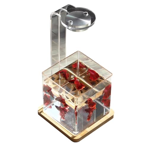 PA-DABAOO Betta-Aquarium Mit LED-Licht Und Holzmaserung, Acryl-Aquarium-Starter-Set, Leicht Zu Pflegen, Fischglas Zur Tischaufstellung, Geeignet Für Tropische Fische PA-DABAOO Betta-Aquarium Mit LED-Licht Und Holzmaserung, Acryl-Aquarium-Starter-Set, Leicht Zu Pflegen, Fischglas Zur Tischaufstellung, Geeignet Für Tropische Fische von PA-DABAOO
