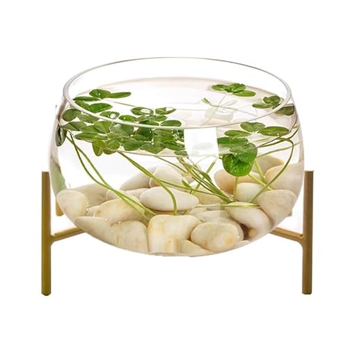 PA-DABAOO Fischglas Für Den Schreibtisch Mit Metallständer, Glasaquarium S/M/L, Pflegeleicht, Aquarium-Set Für Anfänger, Modernes, Kompaktes Aquarium Zur Tischaufstellung,M von PA-DABAOO