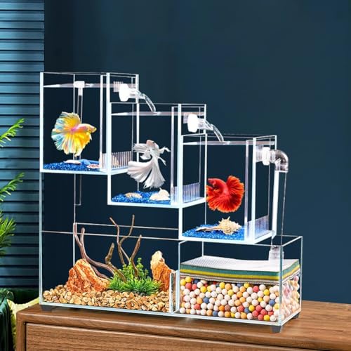 PA-DABAOO Fischglasaquarium, Mit Trennplatte Für Betta, Kleines Aquarium Mit Mehreren Fächern, Betta-Fischglas-Starter-Kit, Mit Wasserleitungen, Mehrzweck-Fischisolation,3 grids PA-DABAOO Fischglasaquarium, Mit Trennplatte Für Betta, Kleines Aquarium Mit Mehreren Fächern, Betta-Fischglas-Starter-Kit, Mit Wasserleitungen, Mehrzweck-Fischisolation,3 grids von PA-DABAOO