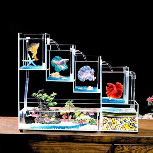 PA-DABAOO Fischglasaquarium, Mit Trennplatte Für Betta, Kleines Aquarium Mit Mehreren Fächern, Betta-Fischglas-Starter-Kit, Mit Wasserleitungen, Mehrzweck-Fischisolation,4 grids PA-DABAOO Fischglasaquarium, Mit Trennplatte Für Betta, Kleines Aquarium Mit Mehreren Fächern, Betta-Fischglas-Starter-Kit, Mit Wasserleitungen, Mehrzweck-Fischisolation,4 grids von PA-DABAOO