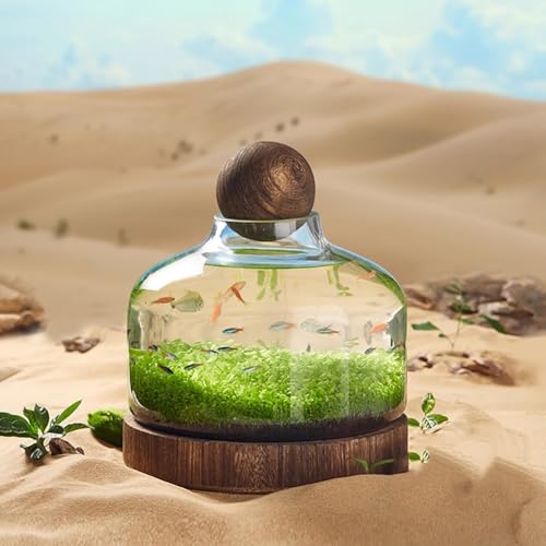 PA-DABAOO Glas-Aquarium Mit Holzstütze Und Holzkugel, Transparente Flaschenförmige Fischschale, Mikroökologische Landschaft, Schreibtisch-Heimdekoration,32 * 27cm von PA-DABAOO