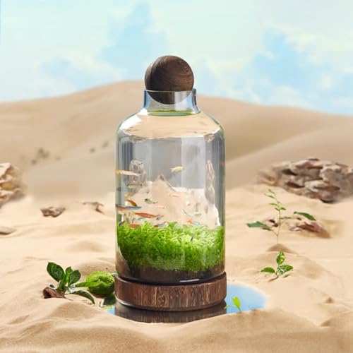 PA-DABAOO Glas-Aquarium Mit Holzstütze Und Holzkugel, Transparente Flaschenförmige Fischschale, Mikroökologische Landschaft, Schreibtisch-Heimdekoration,36 * 17cm von PA-DABAOO