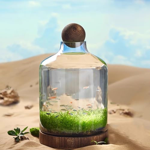 PA-DABAOO Glas-Aquarium Mit Holzstütze Und Holzkugel, Transparente Flaschenförmige Fischschale, Mikroökologische Landschaft, Schreibtisch-Heimdekoration,48 * 27cm von PA-DABAOO