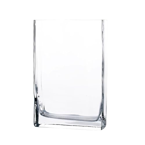 PA-DABAOO Quadratisches Aquarium Aus Glas, Leicht Zu Pflegen, Durchsichtiges Rahmenloses Aquarium, 360-Grad-Ansicht, Tisch-Aquarien Für Die Präsentation Auf Dem Schreibtisch,L PA-DABAOO Quadratisches Aquarium Aus Glas, Leicht Zu Pflegen, Durchsichtiges Rahmenloses Aquarium, 360-Grad-Ansicht, Tisch-Aquarien Für Die Präsentation Auf Dem Schreibtisch,L von PA-DABAOO
