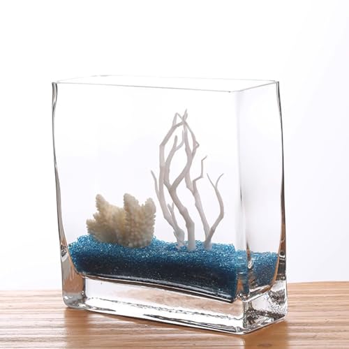 PA-DABAOO Quadratisches Aquarium Aus Glas, Leicht Zu Pflegen, Durchsichtiges Rahmenloses Aquarium, 360-Grad-Ansicht, Tisch-Aquarien Für Die Präsentation Auf Dem Schreibtisch,S Set PA-DABAOO Quadratisches Aquarium Aus Glas, Leicht Zu Pflegen, Durchsichtiges Rahmenloses Aquarium, 360-Grad-Ansicht, Tisch-Aquarien Für Die Präsentation Auf Dem Schreibtisch,S Set von PA-DABAOO