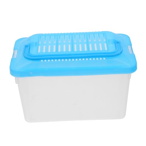 PACKOVE Transportbox Für Haustiere Transparente Zuchtbox Für Reptilien Schildkröten Und Kleintiere Als Handheld Aquarium Farbvarianten Zufällig von PACKOVE