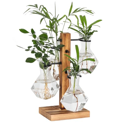PAG-Mass Pflanzen-Terrarien-Set, Desktop-Hydrokultur-Pflanzgefäß, Pflanzenanzuchtstation mit 4 Diamantglasvasen und Massivholzständer, Heimbüro-Dekoration, Geschenk für Frauen PAG-Mass Pflanzen-Terrarien-Set, Desktop-Hydrokultur-Pflanzgefäß, Pflanzenanzuchtstation mit 4 Diamantglasvasen und Massivholzständer, Heimbüro-Dekoration, Geschenk für Frauen von PAG-Mass