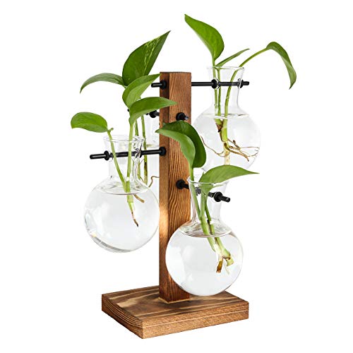 PAG Pflanzen-Terrarien-Set zum Aufhängen an der Wand, Hydrokultur, Luft-Pflanzgefäß-Halter mit 3 verschiedenen Längen, Reagenzglas-Vase und Massivholz-Ständer für Heimbüro-Dekoration von PAG