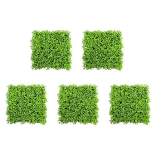 PAGJHRFJG 5X Kuenstliche Gefaelschte Wasser Wasserlebend Gruenes Gras Pflanze Rasen Aquarium Landschaft PAGJHRFJG 5X Kuenstliche Gefaelschte Wasser Wasserlebend Gruenes Gras Pflanze Rasen Aquarium Landschaft von PAGJHRFJG