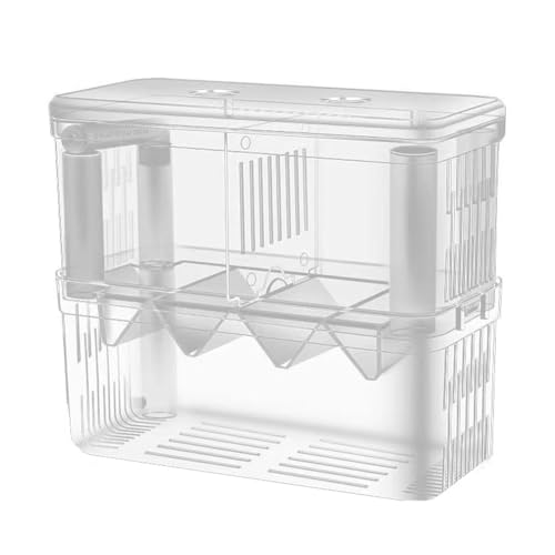 PAGJHRFJG Fischzuchtbox, Doppelschichtiger Zuchttank Aus Acryl, Isolationsbox, Transparente, Abnehmbare Brutbox für Guppy- PAGJHRFJG Fischzuchtbox, Doppelschichtiger Zuchttank Aus Acryl, Isolationsbox, Transparente, Abnehmbare Brutbox für Guppy- von PAGJHRFJG