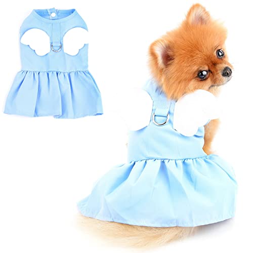 PADEFUL Hund Kleider Geschirr und Leine, Set Engelflügel, Sommerkleid für kleine Haustiere, Mädchen, Hundebekleidung, Katzen, Kleidung, weich, bequem, Welpen-Kostüm, Blau, L von PAIDEFUL