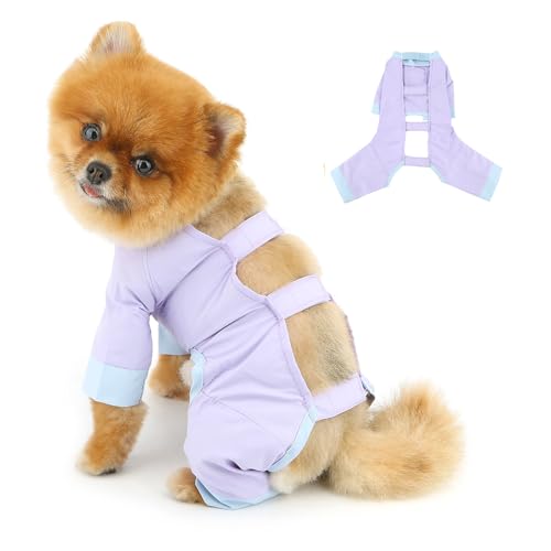 PAIDEFUL Anti-Schmutz-Hundehose für kleine Hunde, weich, atmungsaktiv, rückenfrei, Sommer, Haustier-Sweatshirt, einfarbig, Welpen, 4-beinige Kleidung, modische Katzenbekleidung, Lila, Größe L PAIDEFUL Anti-Schmutz-Hundehose für kleine Hunde, weich, atmungsaktiv, rückenfrei, Sommer, Haustier-Sweatshirt, einfarbig, Welpen, 4-beinige Kleidung, modische Katzenbekleidung, Lila, Größe L von PAIDEFUL
