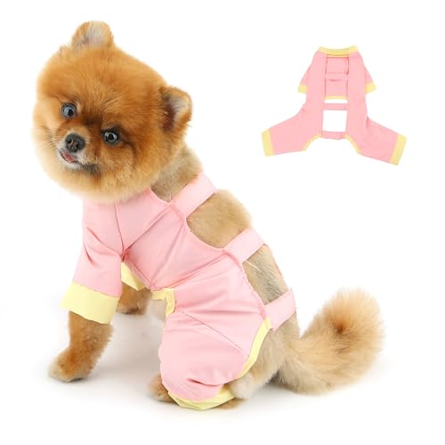 PAIDEFUL Anti-Schmutz-Hundehose für kleine Hunde, weich, atmungsaktiv, rückenfrei, Sommer, Haustier-Sweatshirts, solide Welpen, 4-Bein-Kleidung, modische Katzenbekleidung, Rosa, Größe M PAIDEFUL Anti-Schmutz-Hundehose für kleine Hunde, weich, atmungsaktiv, rückenfrei, Sommer, Haustier-Sweatshirts, solide Welpen, 4-Bein-Kleidung, modische Katzenbekleidung, Rosa, Größe M von PAIDEFUL