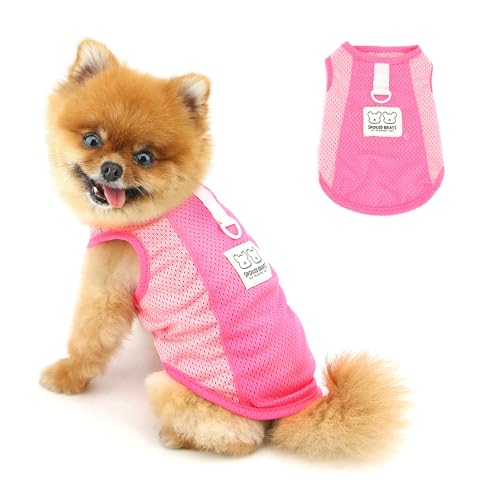PAIDEFUL Atmungsaktives Netz-T-Shirt für kleine Hunde, Sommer, coole Weste, weich, leicht, Welpen-T-Shirt, ärmellos, Haustier-Tanktop, Sweatshirts, gemütliche Chihuahua-Kleidung, Katzenbekleidung von PAIDEFUL